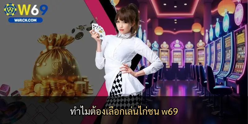 ทำไมต้องเลือกเล่นไก่ชน w69