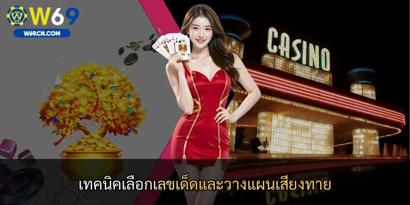 เทคนิคเลือกเลขเด็ดและวางแผนเสี่ยงทาย